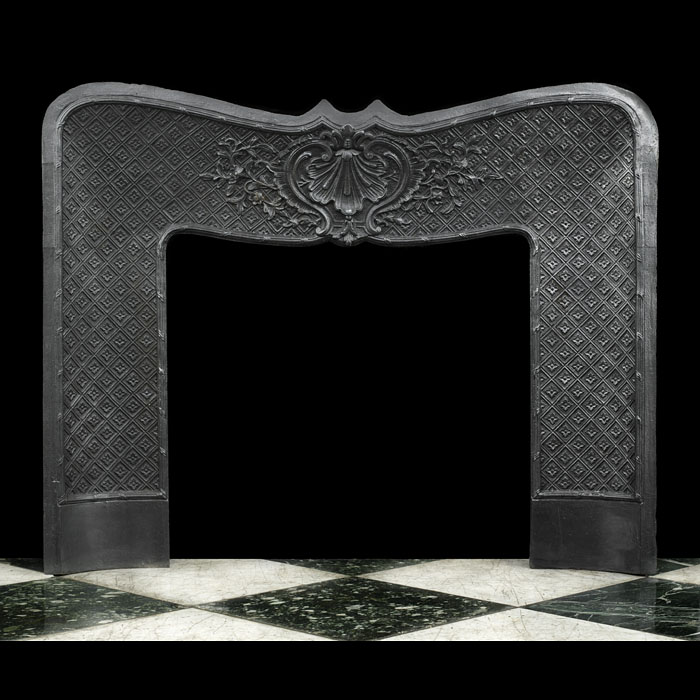 A Rococo style cast iron fireplace insert